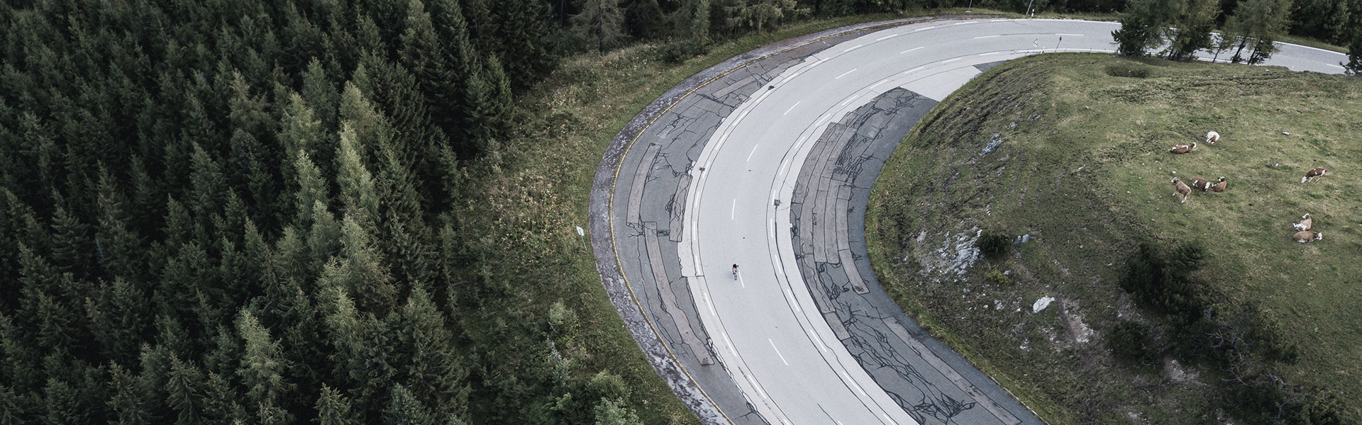BikeBeat Carbon Wheels | Innovation & Speed from Germany